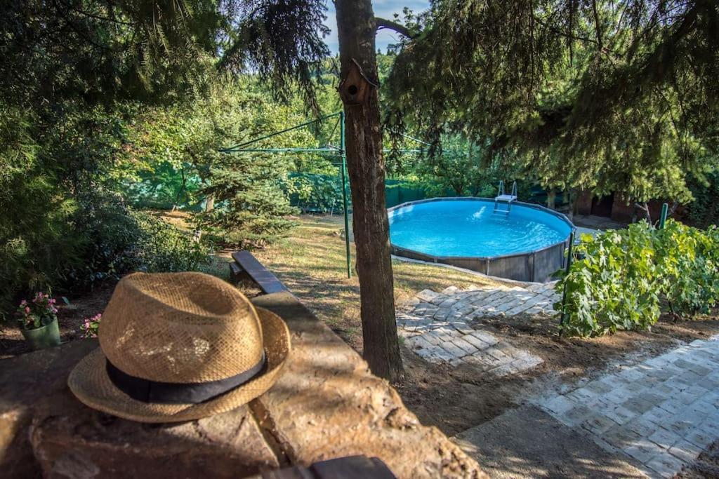 Вилла Happy House Velika Remeta Экстерьер фото