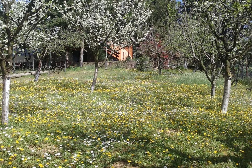 Вилла Happy House Velika Remeta Экстерьер фото